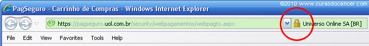 safe-site-pagseguro