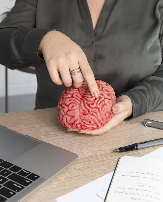 brain2