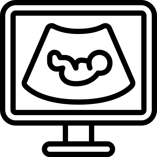 ginecologia obstetricia icon