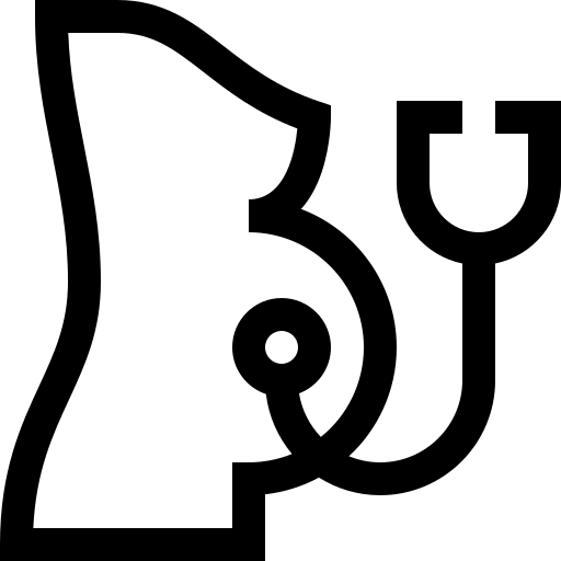 ginecologia prenatal